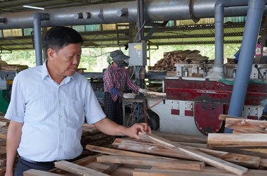Quảng Trị: 3 nông dân tiêu biểu được vinh danh toàn quốc năm 2025