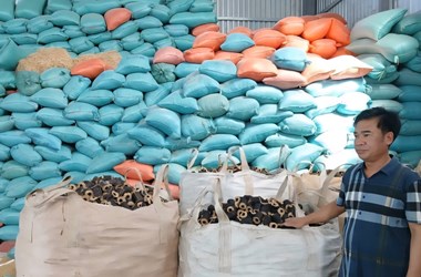 Nông dân Huế làm giàu từ vỏ trấu, góp phần phát triển kinh tế xanh và bền vững