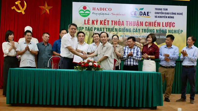 Ứng dụng khoa học kỹ thuật trong đầu tư giống cây trồng, vật nuôi tại Hadico
