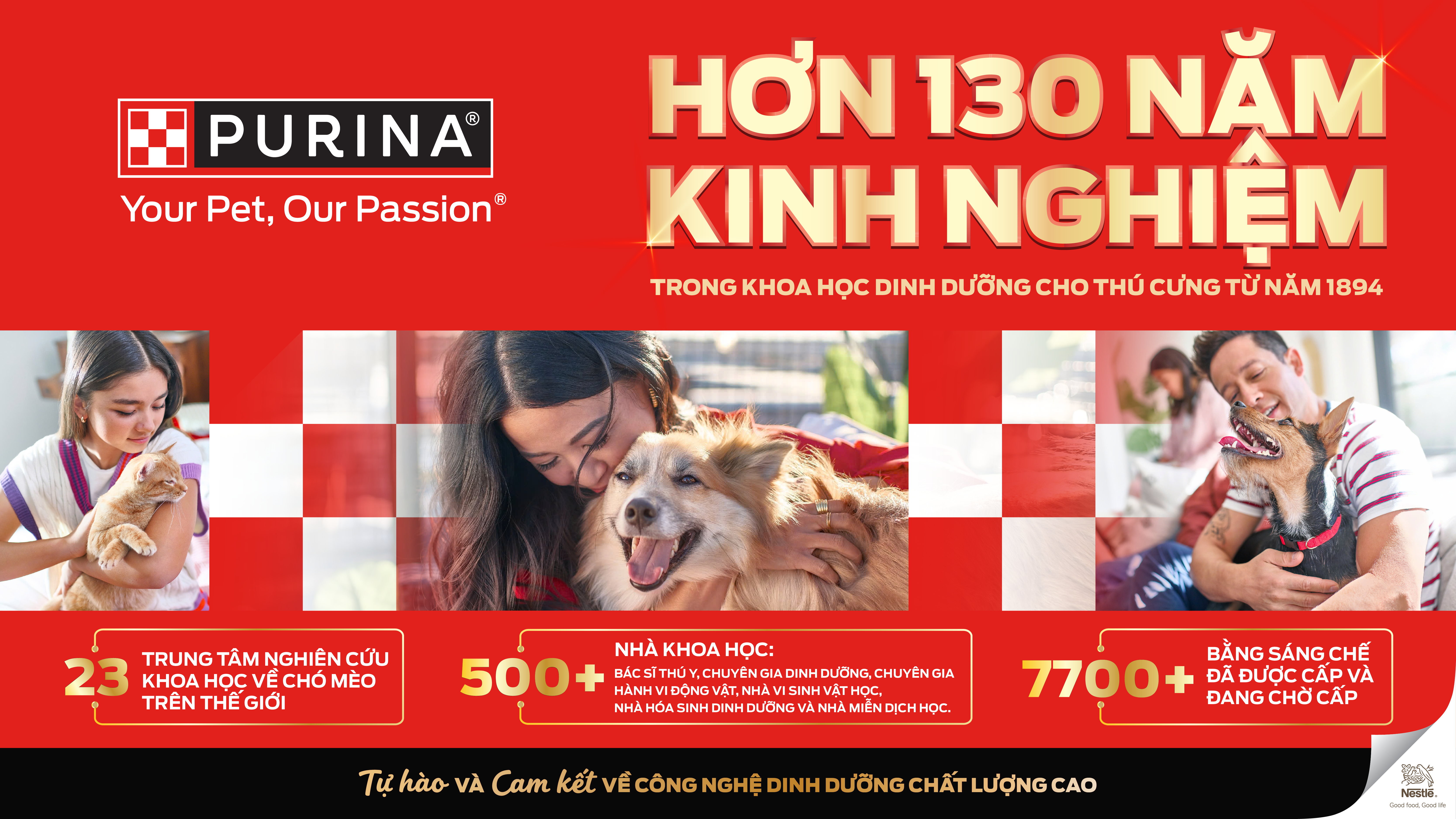 Các dấu hiệu đơn giản giúp đánh giá sức khỏe của mèo cưng - Ảnh 2
