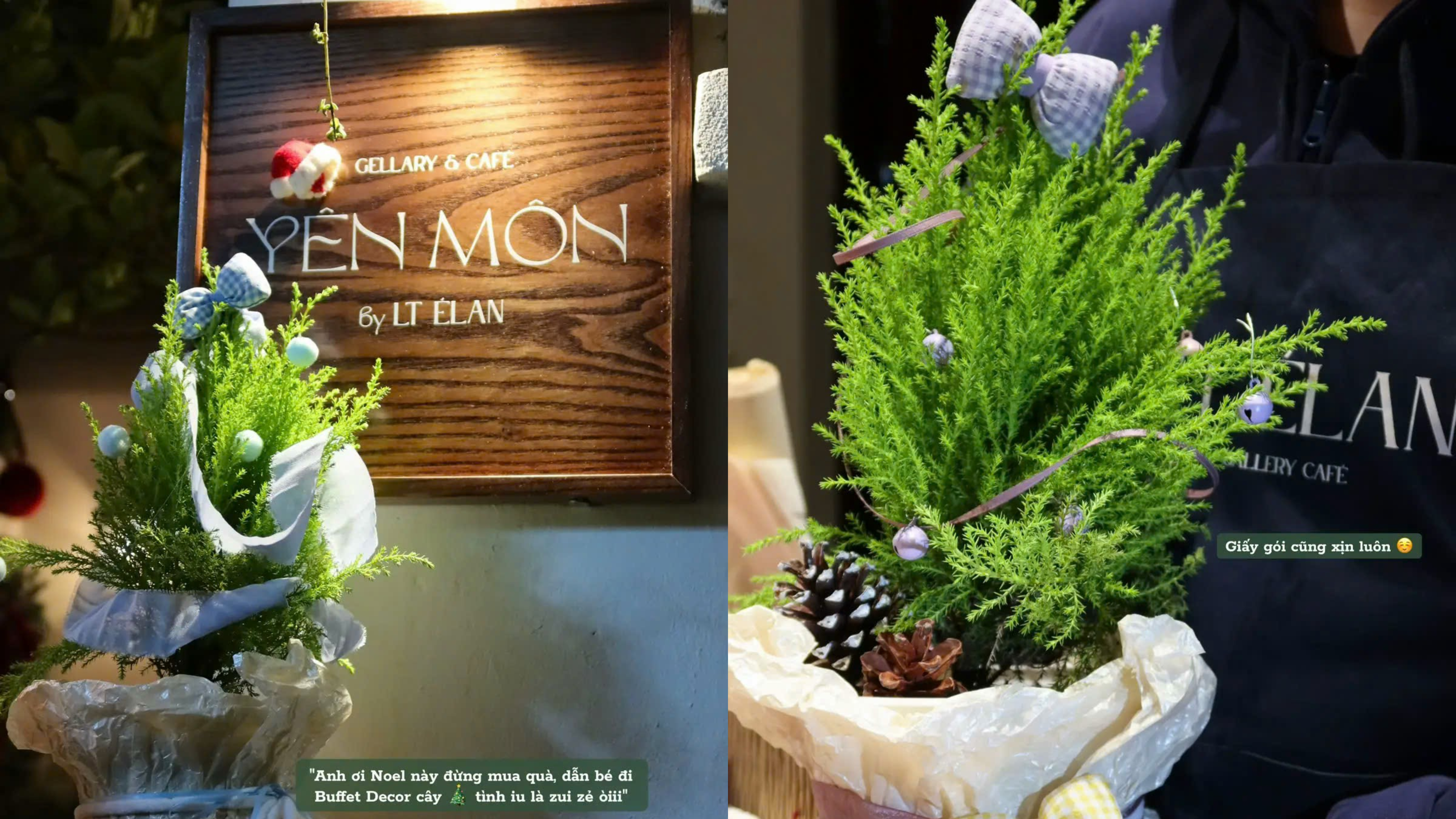 Buffet decor c&acirc;y th&ocirc;ng tại LT &Eacute;LAN đang thu h&uacute;t giới trẻ&nbsp;