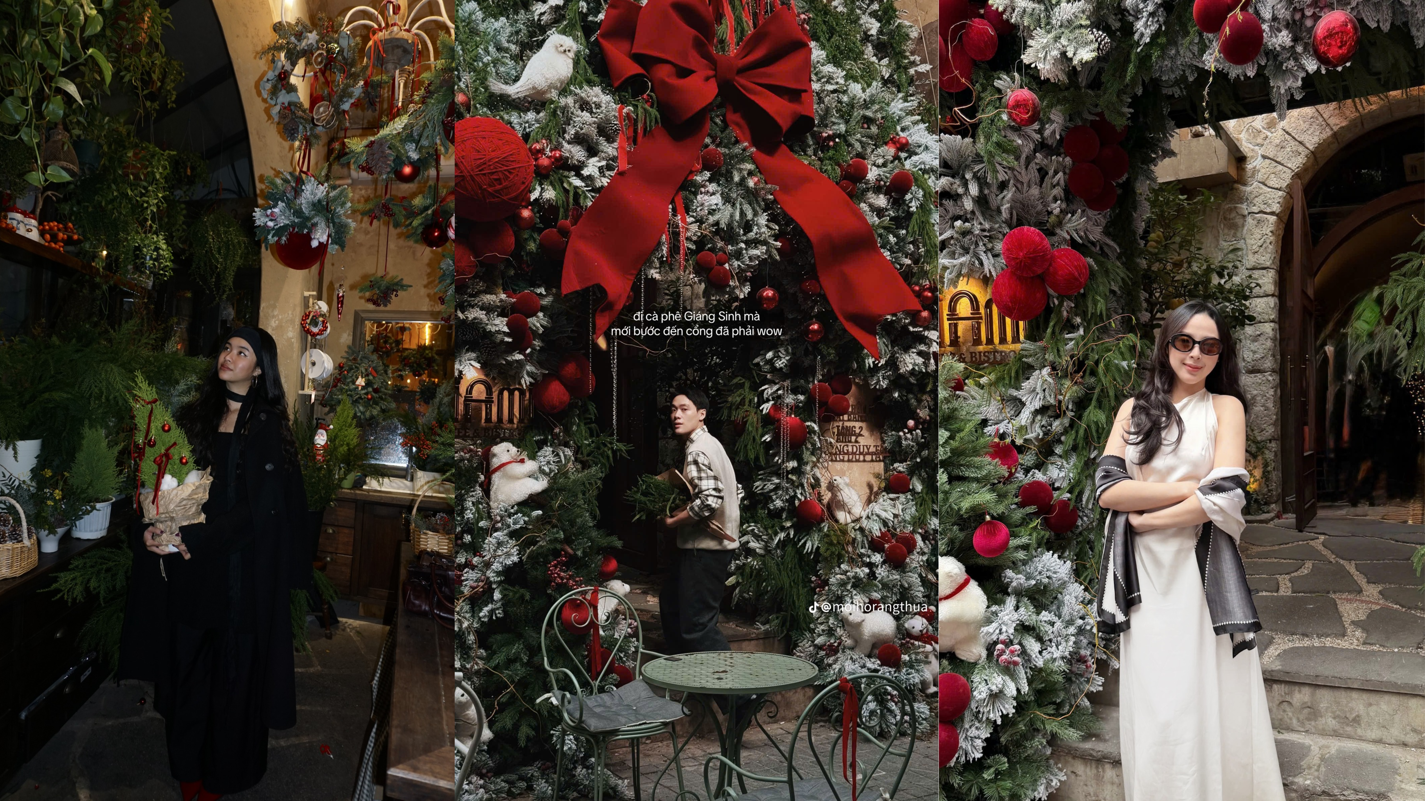 Nhiều bạn trẻ đến Mi Ami Caff&egrave; để checkin với c&acirc;y th&ocirc;ng khổng lồ