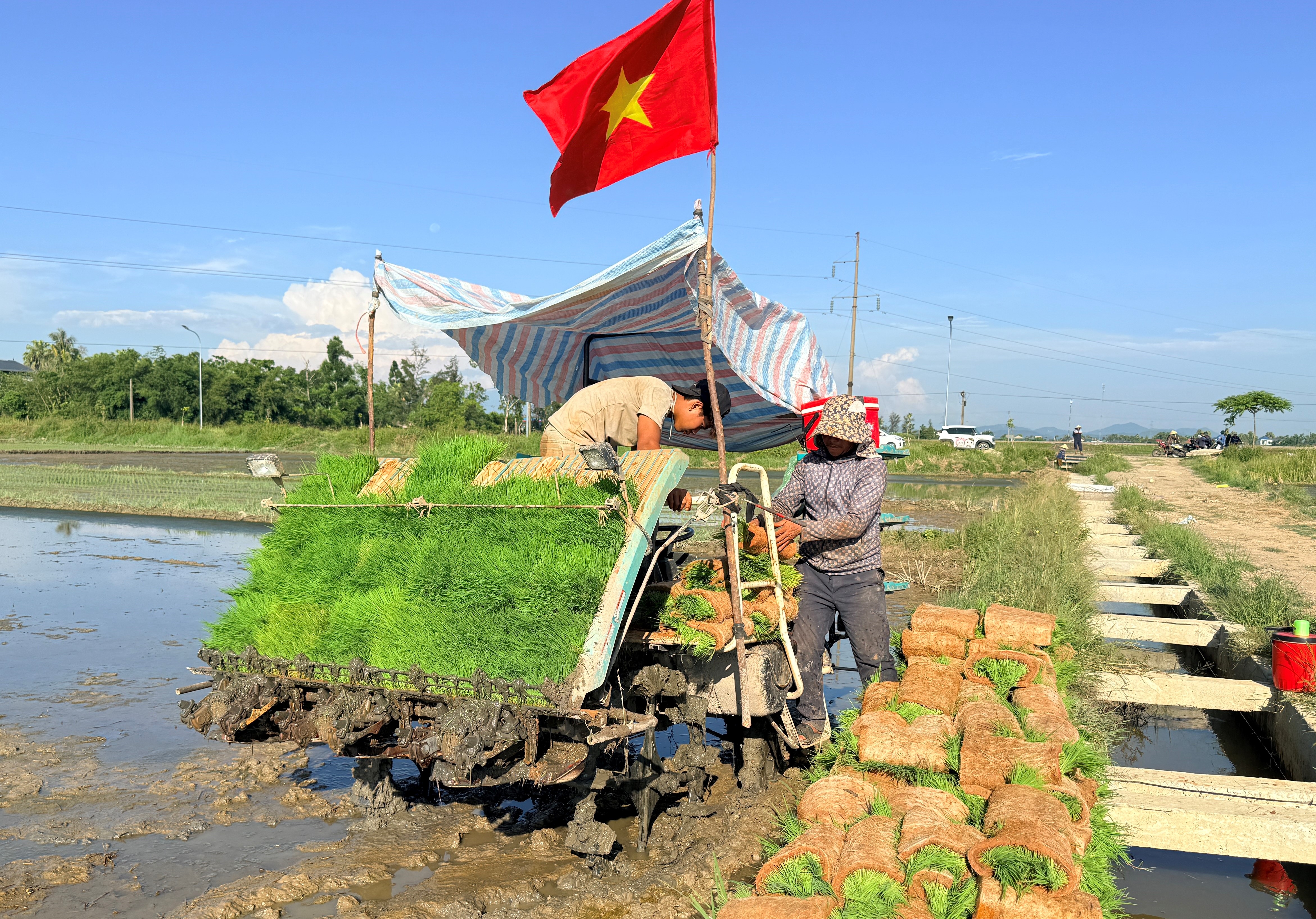 Đưa m&aacute;y cấy tự h&agrave;nh v&agrave;o trồng l&uacute;a ở Thạch H&agrave;
