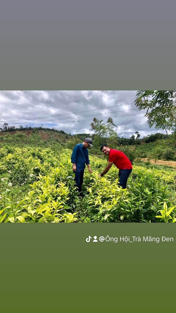 Hợp Tác Xã Chè Sạch Đông Trường Sơn Hành Trình Xanh Vì Sức Khỏe Và Môi Trường