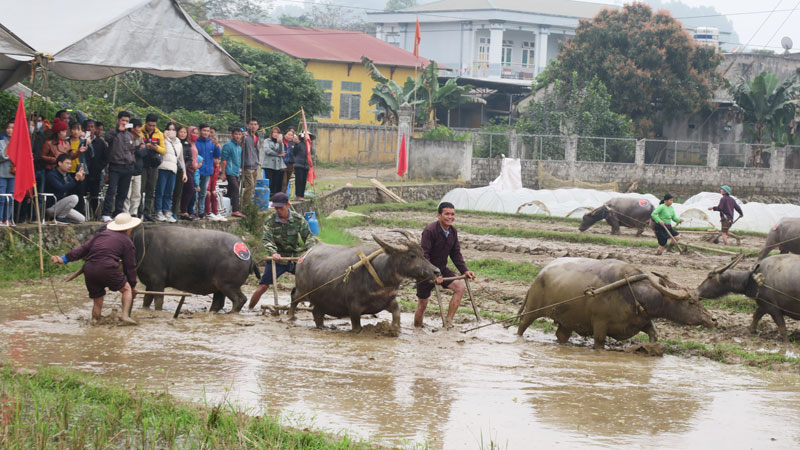 Đường c&agrave;y đầu năm, hoạt động kh&ocirc;ng thể thiếu trong lễ hội Khai hạ Mường Bi