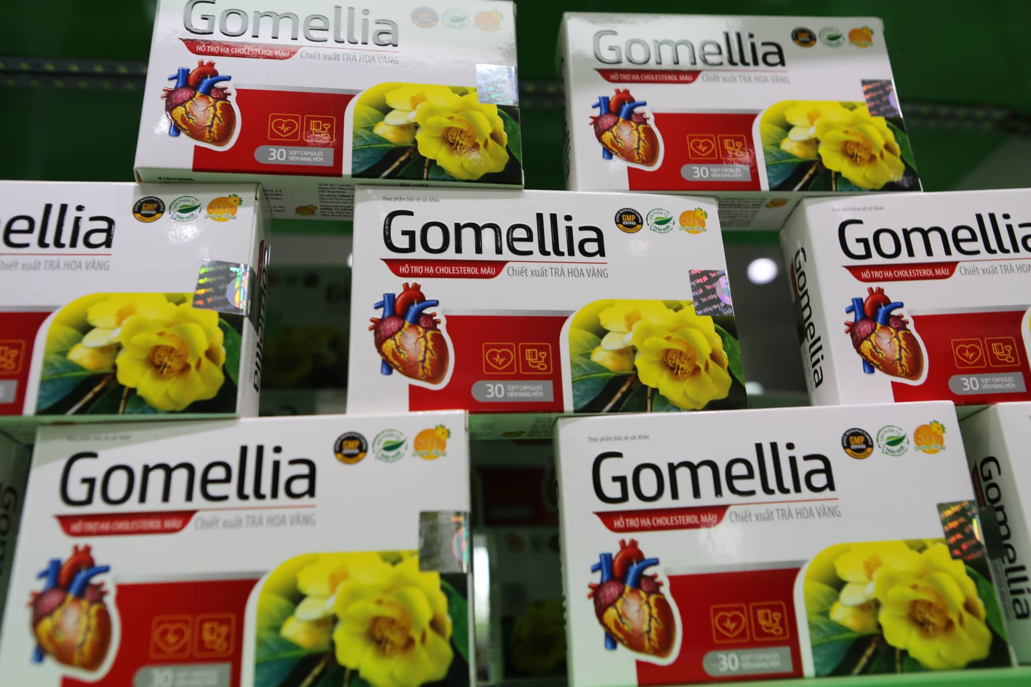 NTEA Việt Nam: Hành trình 10 năm xây dựng và phát triển! - Ảnh 3