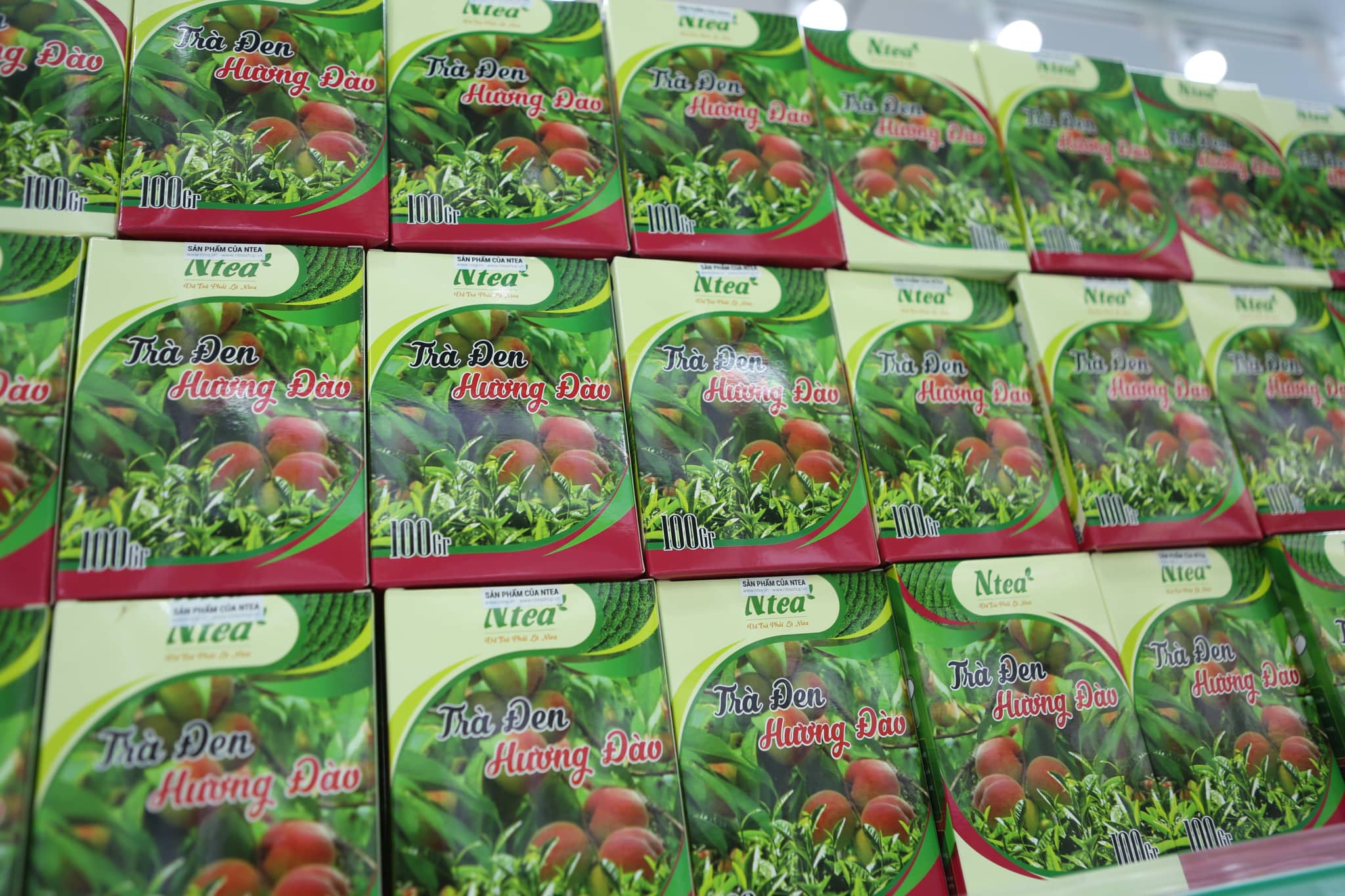 NTEA Việt Nam: Hành trình 10 năm xây dựng và phát triển! - Ảnh 2