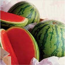 Những loại trái cây không hạt được trồng thành công ở Việt Nam  - Ảnh 3