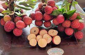 Những loại trái cây không hạt được trồng thành công ở Việt Nam  - Ảnh 1