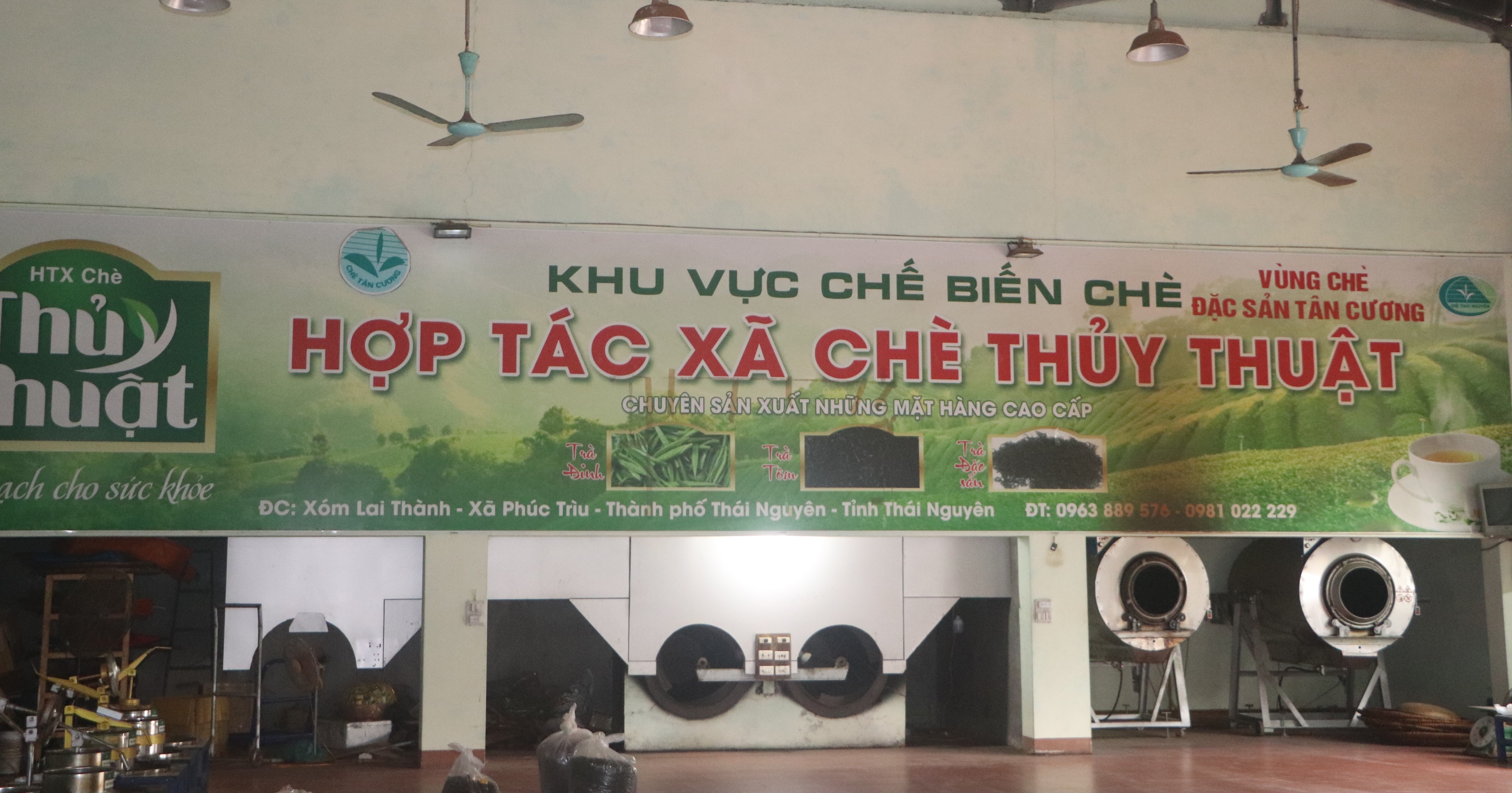 HTX Ch&#232; Thủy Thuật: X&#226;y dựng thương hiệu từ sản xuất ch&#232; an to&#224;n - Ảnh 3