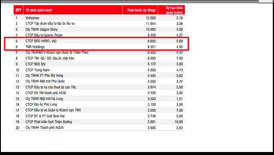 TNR Holdings v&agrave; Hano &ndash; Vid c&oacute; khối lượng ph&aacute;t h&agrave;nh gần 17.000 tỷ đồng tr&aacute;i phiếu trong năm 2020. Nguồn: SSI.