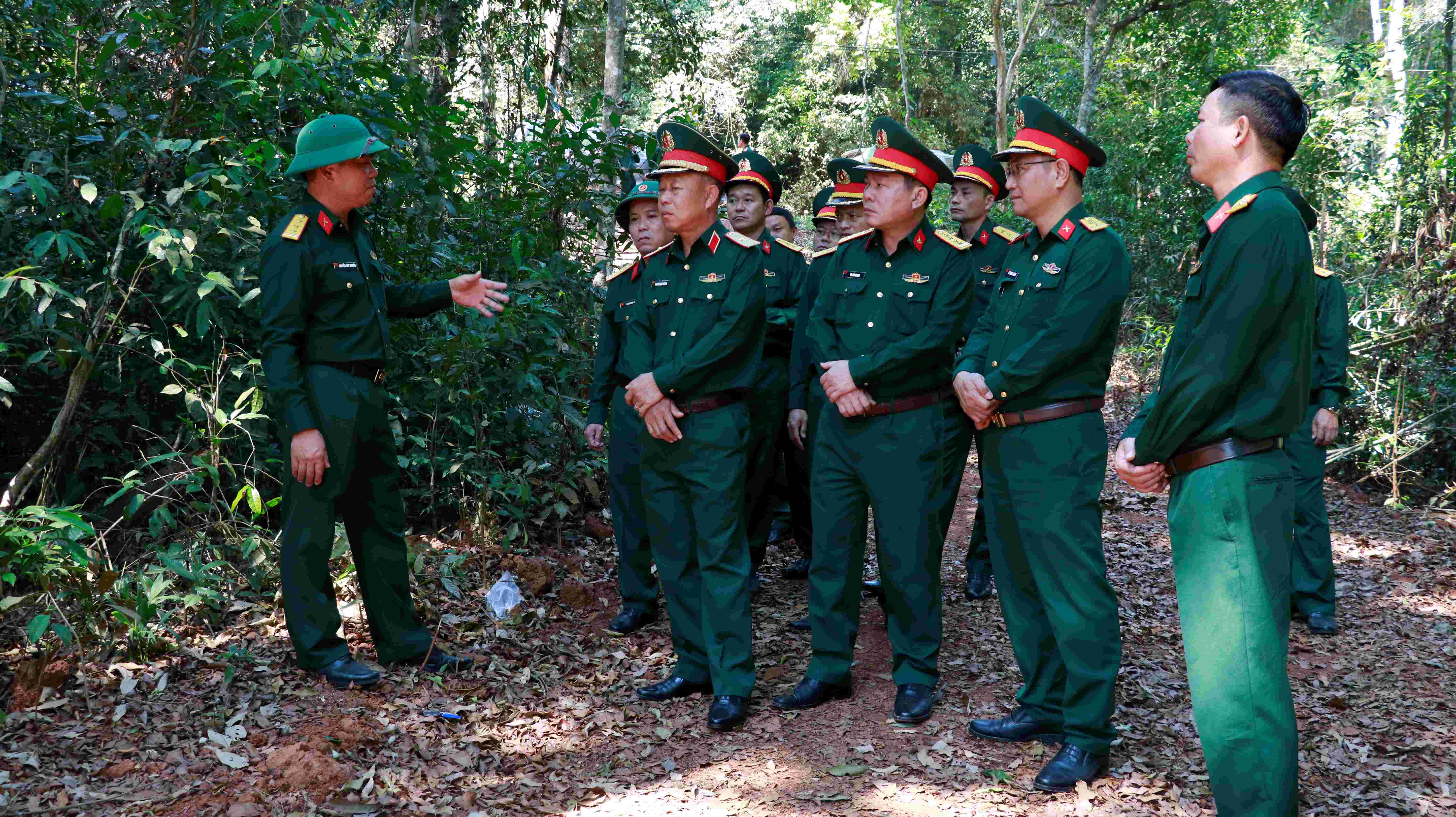 Đoàn Kinh tế - Quốc phòng Quảng Sơn: Giữ đất, giữ rừng, tạo sinh kế, củng cố “thế trận lòng dân” - Ảnh 1
