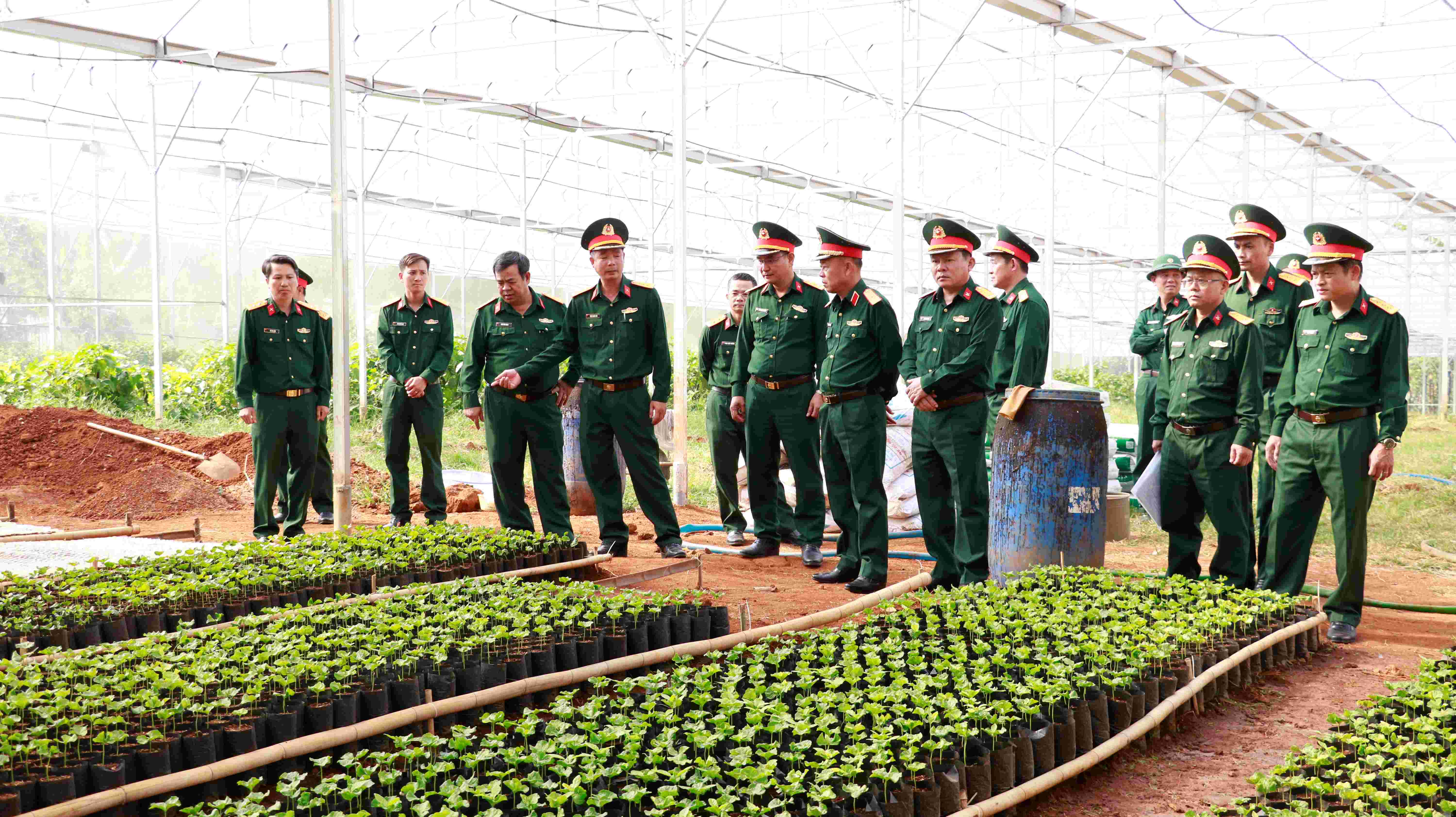 Đo&agrave;n c&ocirc;ng t&aacute;c Qu&acirc;n khu 5 kiểm tra vườn ươm c&agrave; ph&ecirc; của Đội sản xuất số 19, Đo&agrave;n Kinh tế- Quốc ph&ograve;ng Quảng Sơn&nbsp;(ảnh: Quang H&ugrave;ng).