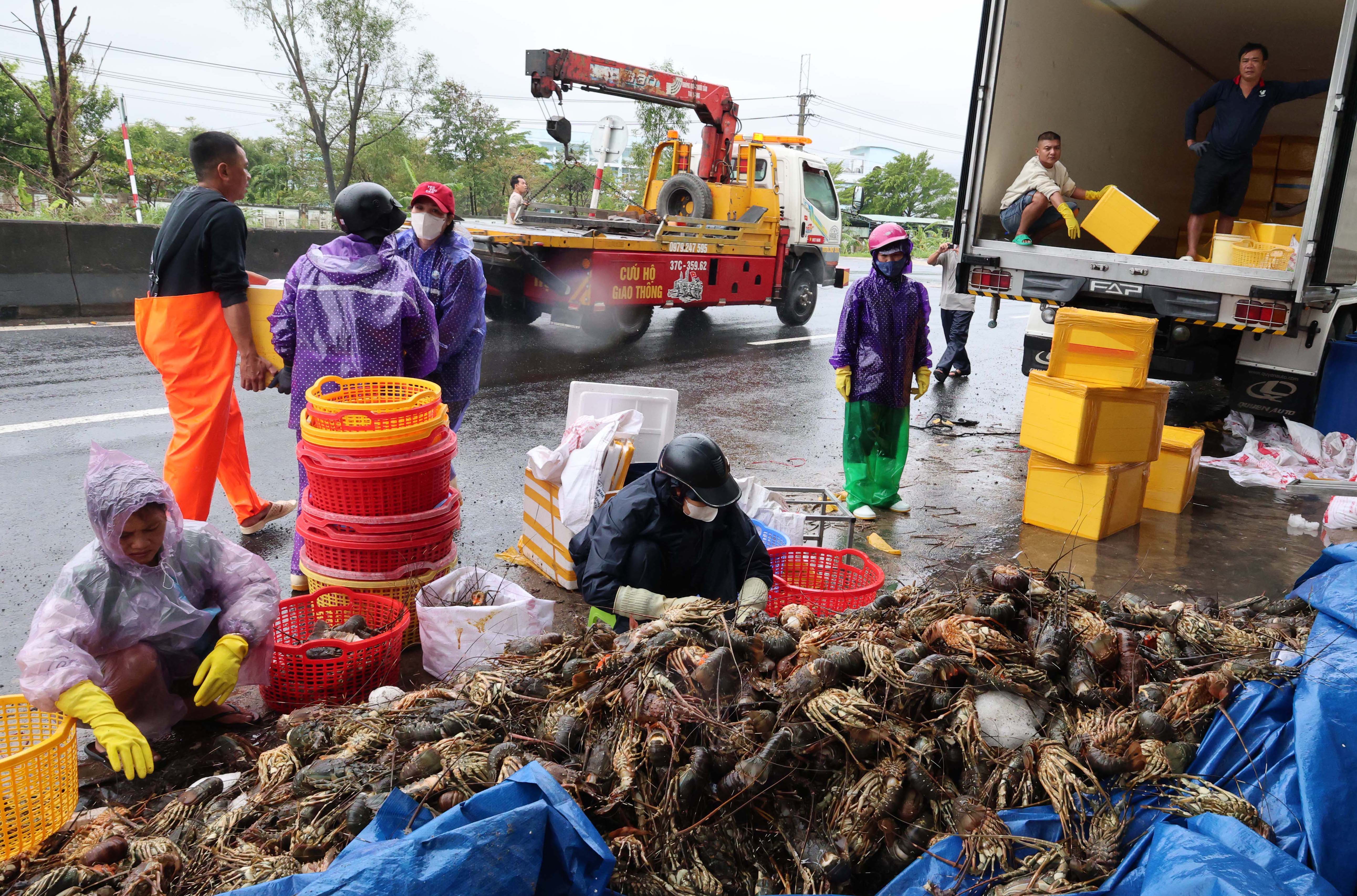Người nu&ocirc;i t&ocirc;m h&ugrave;m tại Vịnh Xu&acirc;n Đ&agrave;i thu hoạch, ti&ecirc;u thụ số t&ocirc;m c&ograve;n lại sau đợt mưa lũ nhằm giảm thiểu thiệt hại