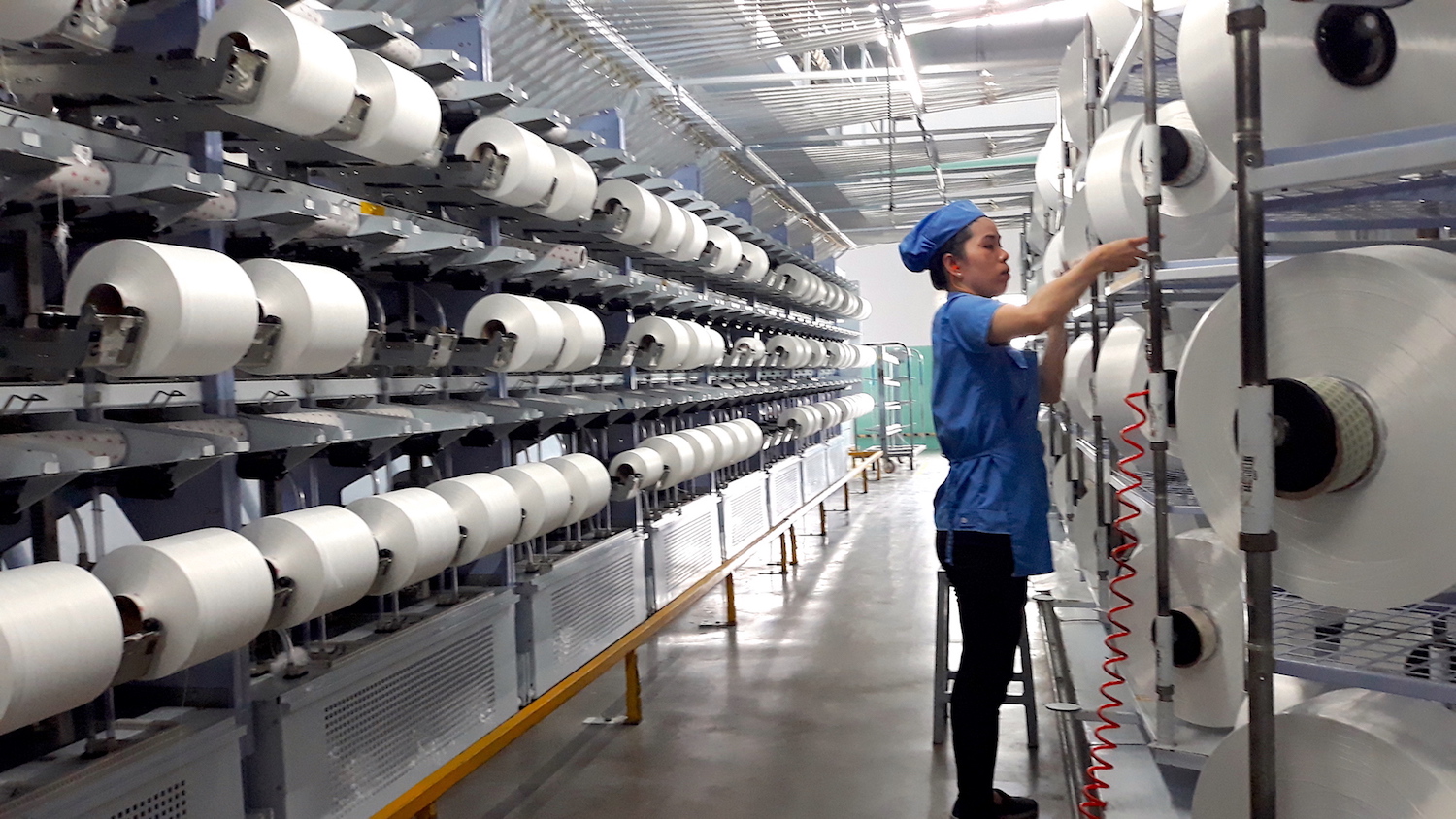 Sợi Thế Kỷ báo lãi hơn 60 tỷ đồng, gấp 3 lần cùng kỳ quý 3/2021 - Ảnh 1