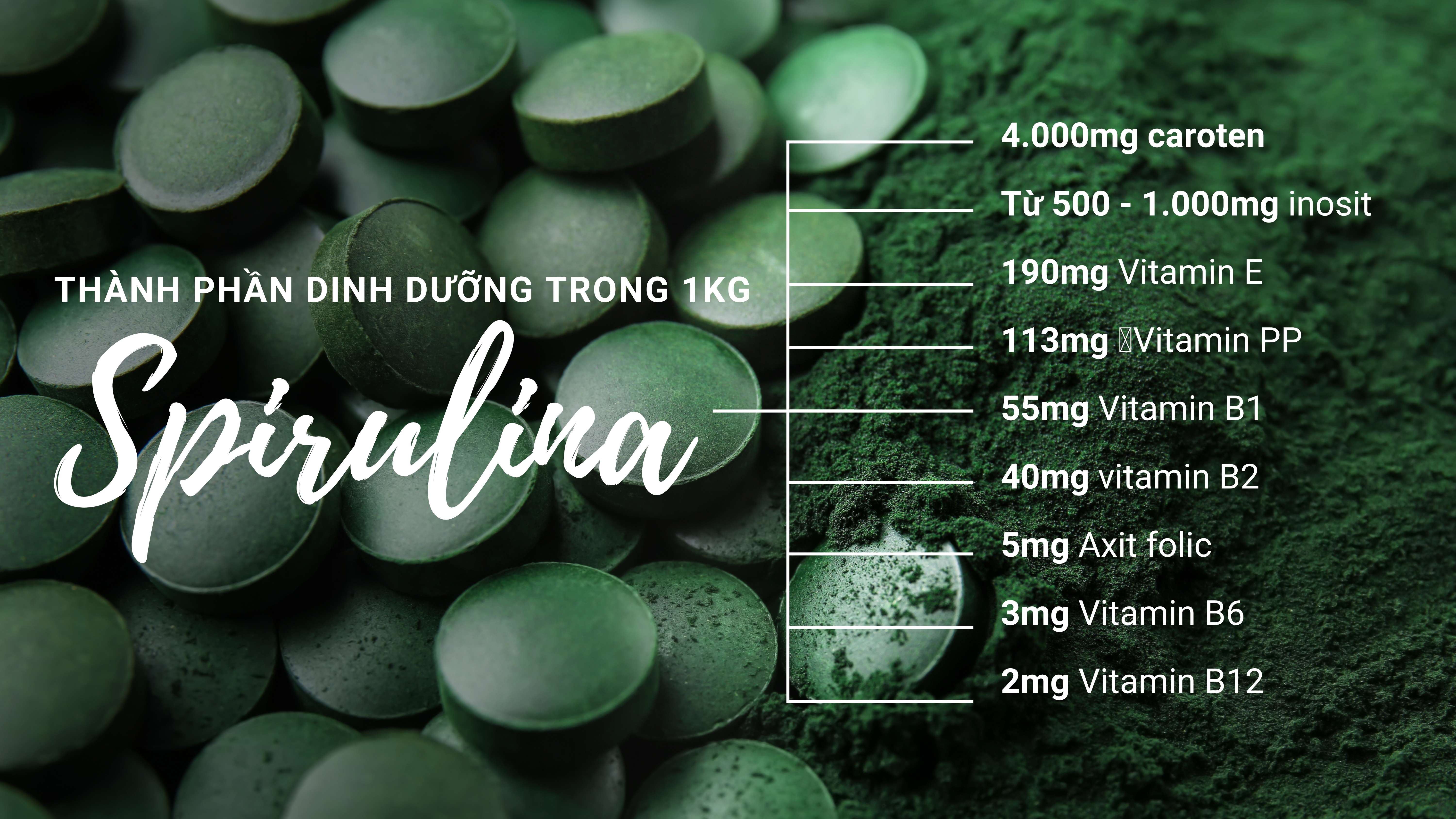 Tập đo&#224;n Đại Việt v&#224; h&#224;nh tr&#236;nh đưa tảo Spirulina đến người d&#249;ng Việt  - Ảnh 4