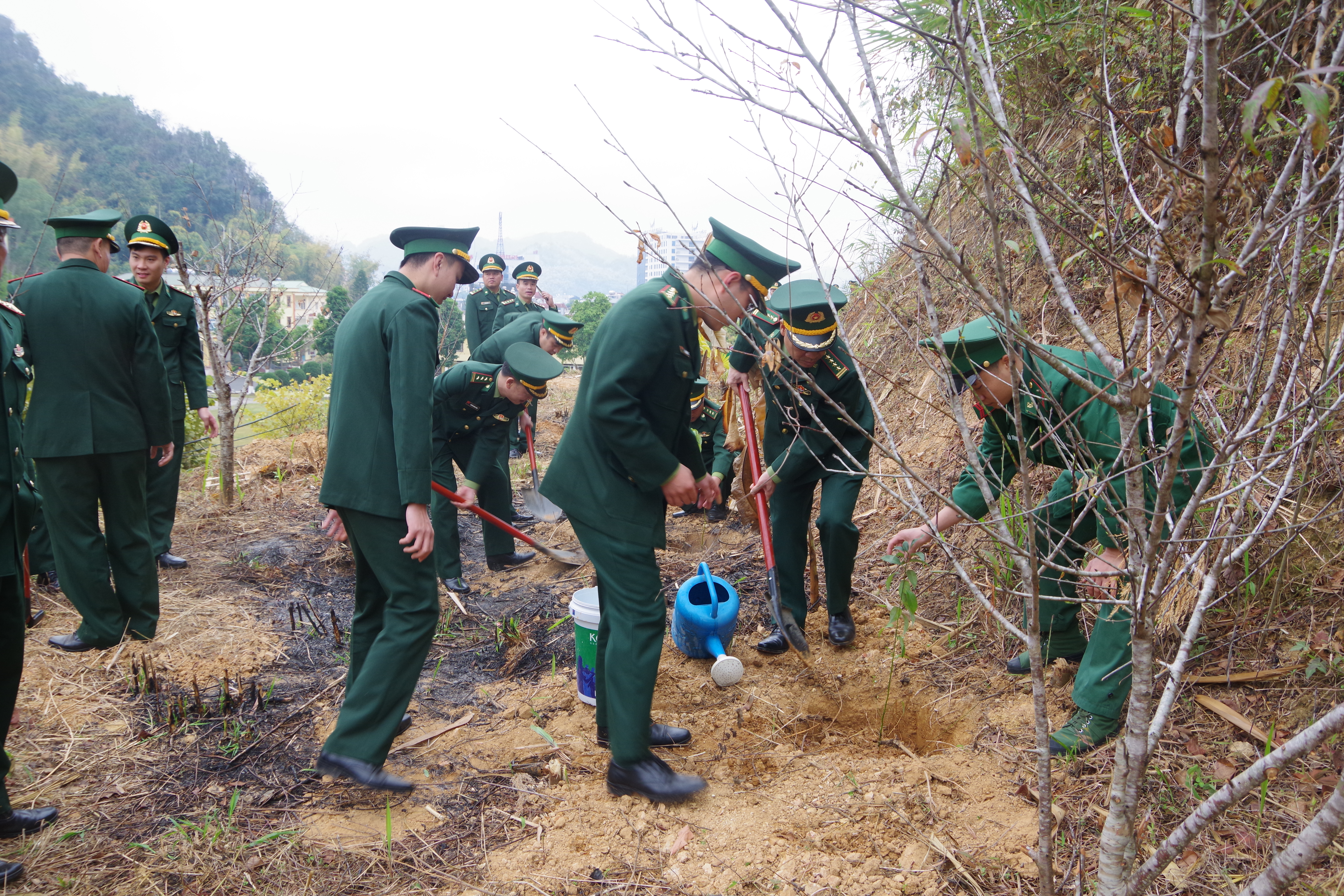 Sơn La: Bộ Chỉ huy Bộ đội Bi&#234;n ph&#242;ng tỉnh ph&#225;t động tết trồng c&#226;y - Ảnh 1