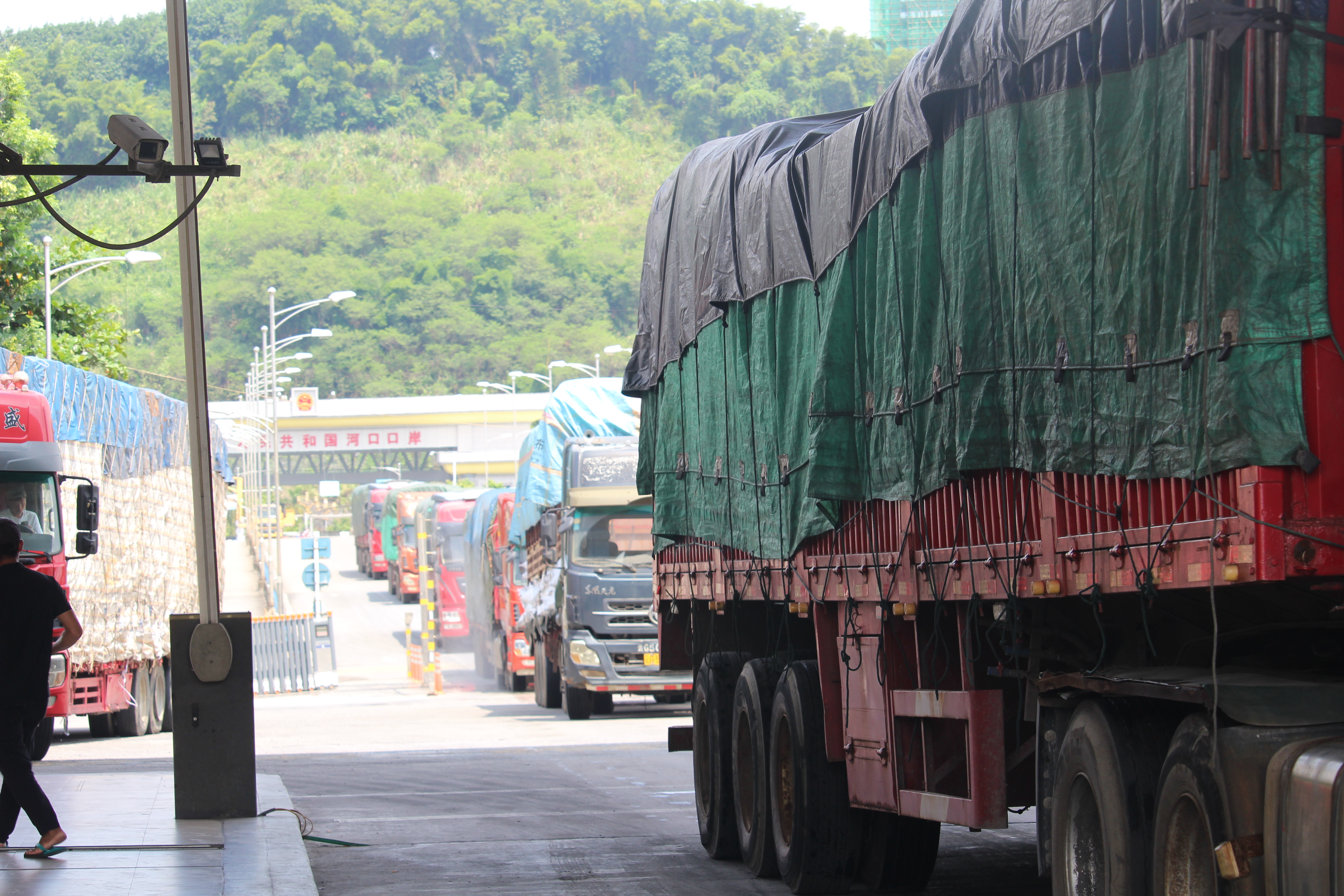 L&#224;o Cai: Kh&#244;i phục hoạt động xuất, nhập khẩu h&#224;ng h&#243;a giao thương bi&#234;n giới th&#244;ng tho&#225;ng v&#224; khởi sắc - Ảnh 3