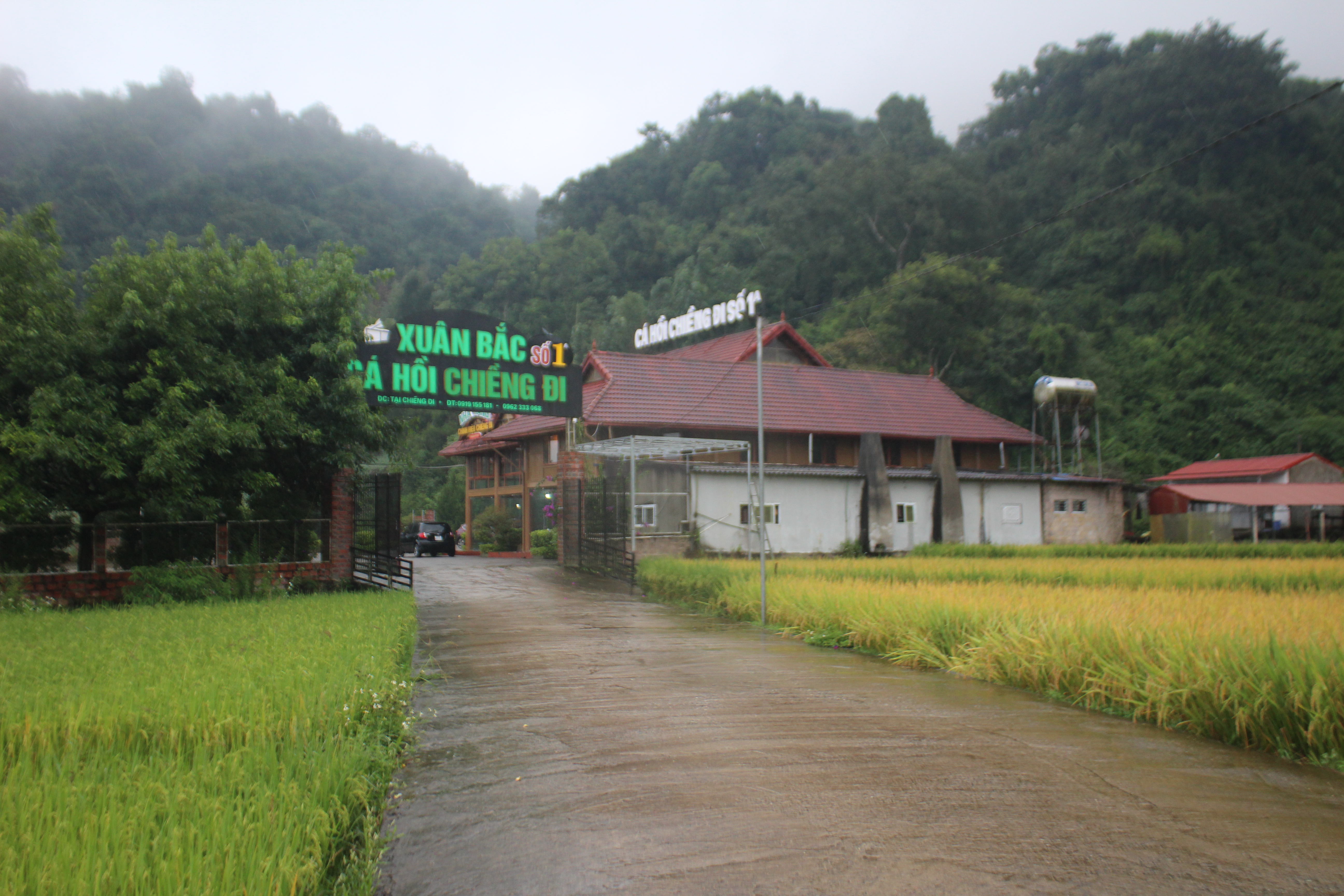 thung lũng xung quang được bao bọc những cánh đồng lúa chín vàng ươm, tựa mình vào những sườn đồi xanh ngát đầy chất thơ mộng và tự nhiên của núi rừng Tây Bắc