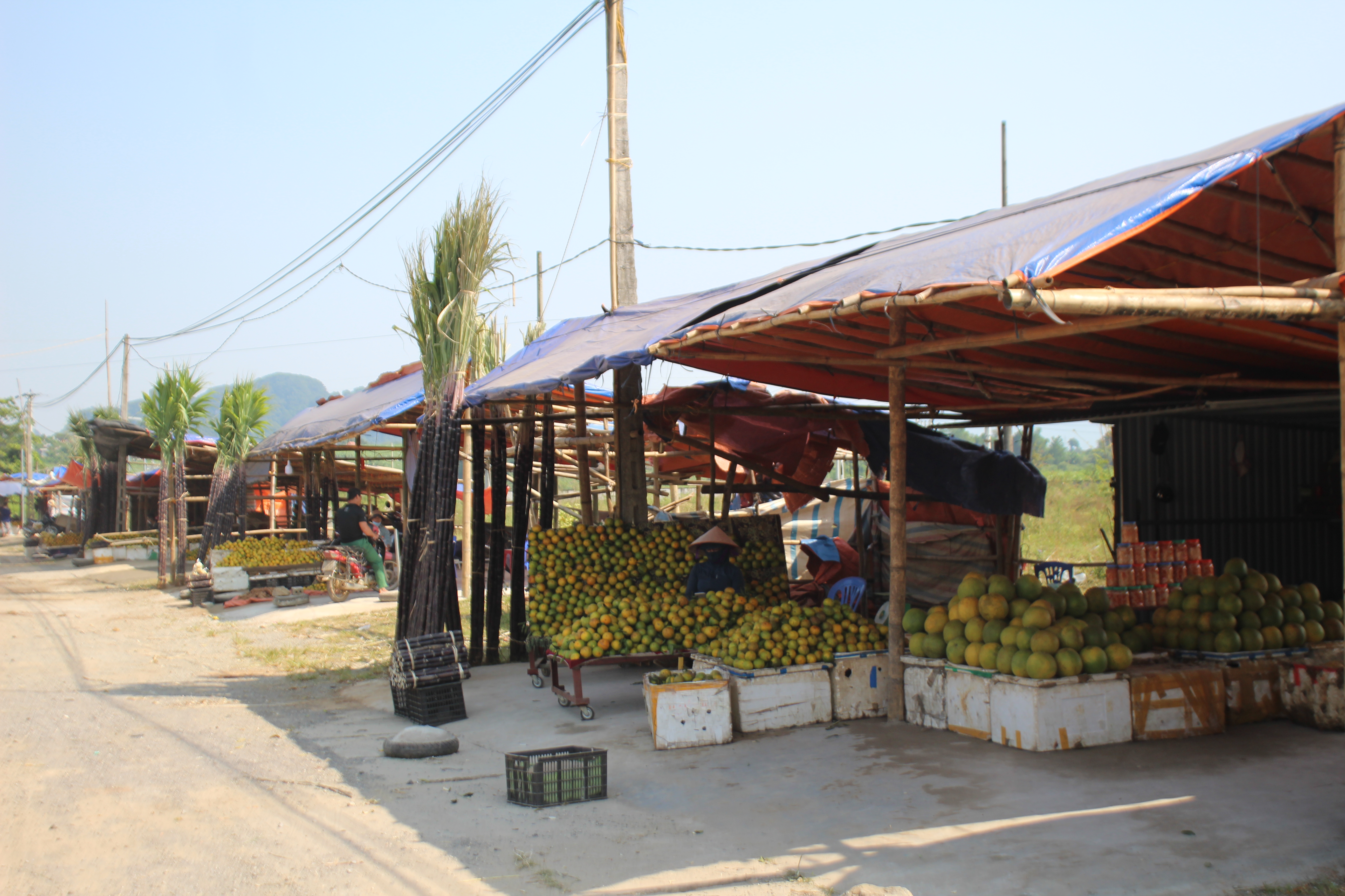 Các sản phẩm nông nghiệp như mía, cam…được bày bán tại dọc Quốc lộ 6 trên địa bàn huyện Cao Phong. Ảnh: Phi Long