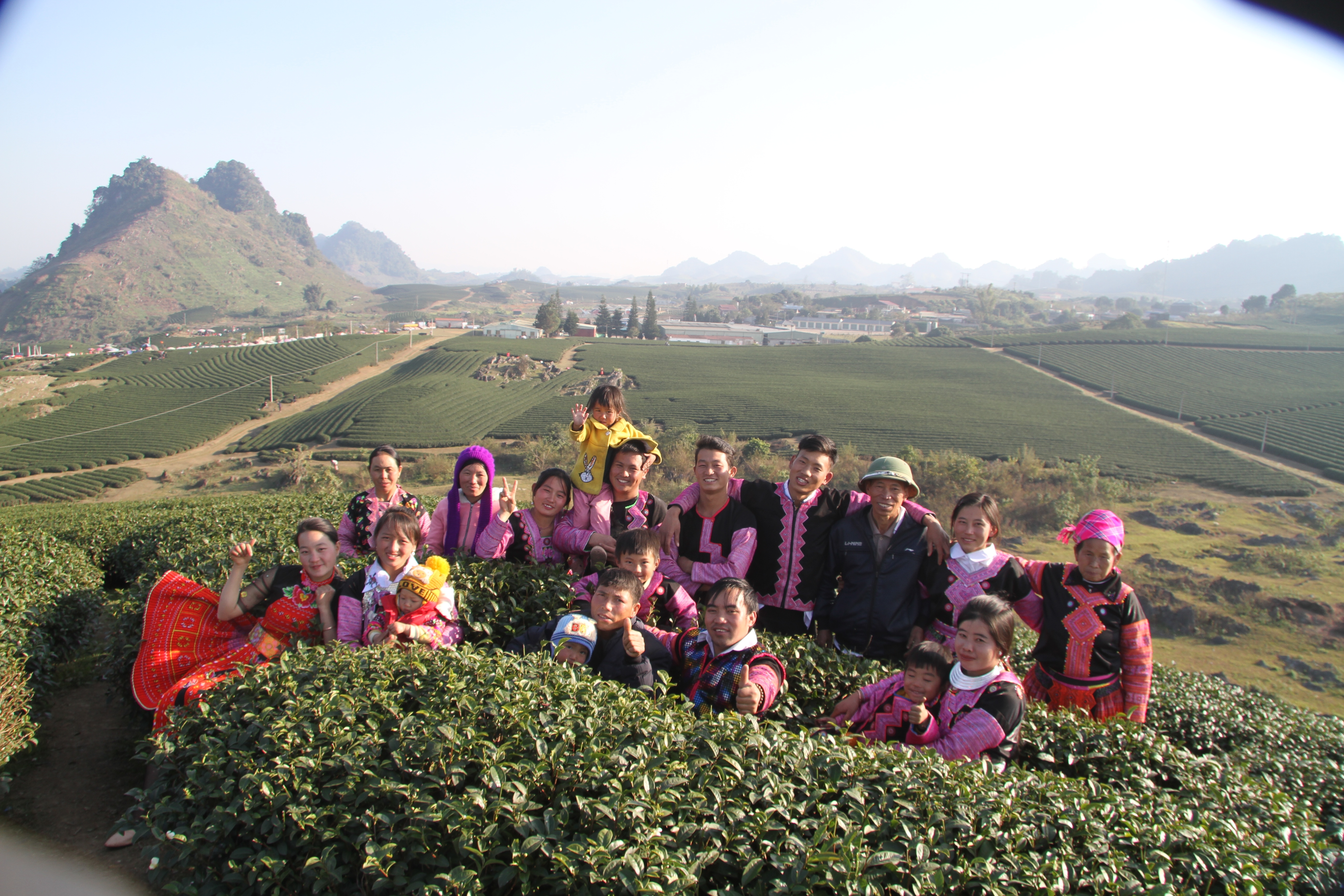 Du khách chụp ảnh gia đình tại đồi chè Đài Loan, Mộc Châu. ảnh. Ảnh: Nam Trứ