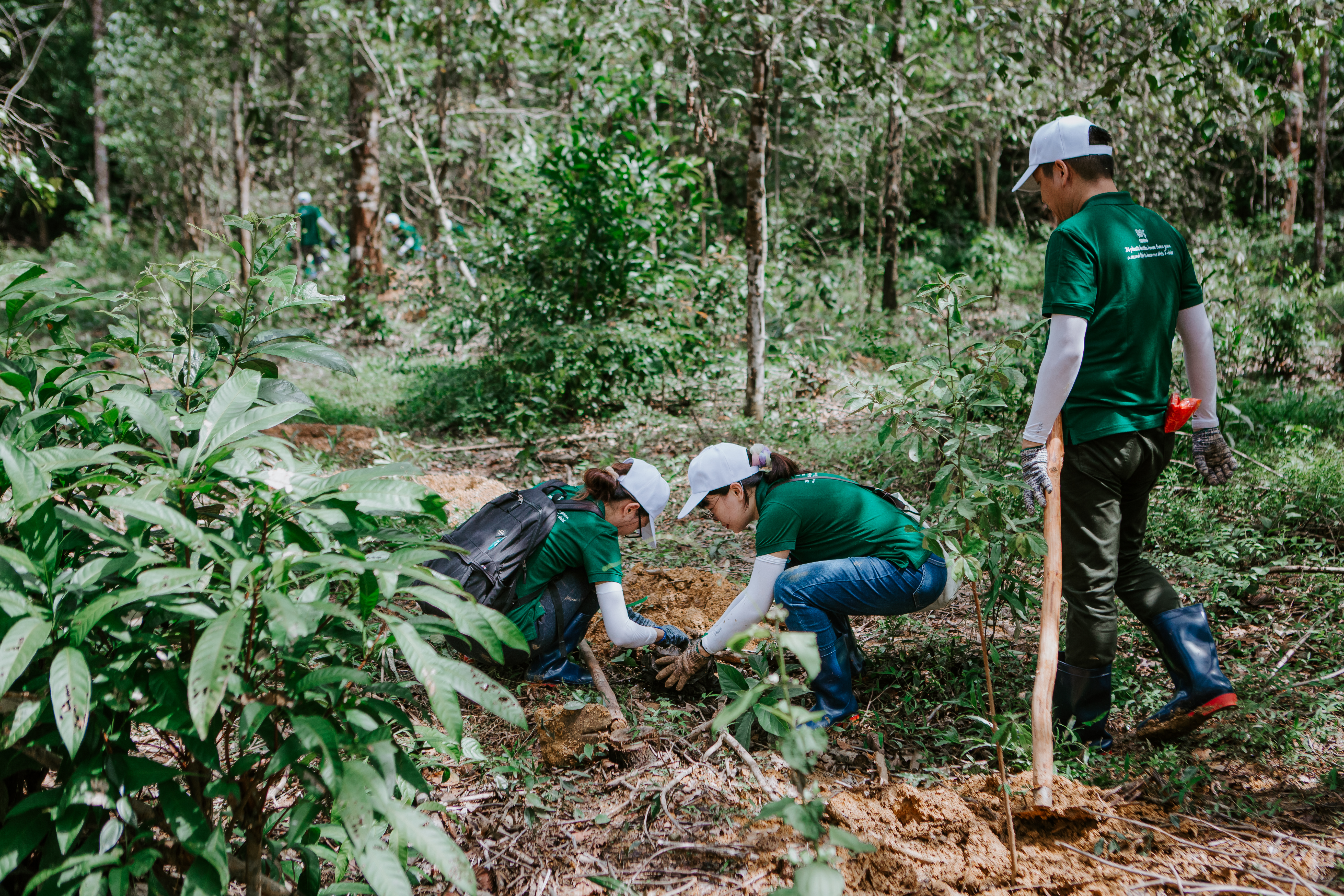 Năm 2022, Nestlé đóng góp 1.000 cây về Khu bảo tồn Thiên nhiên Văn hóa Đồng Nai