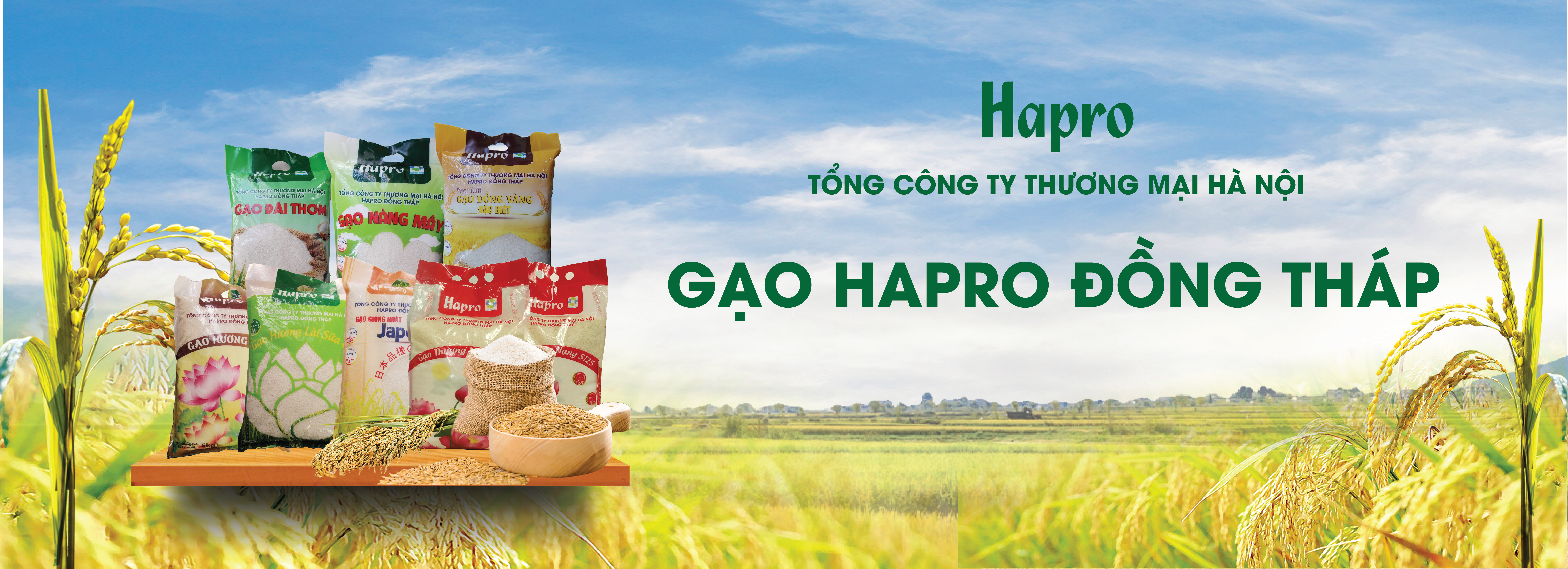 SP gạo Hapro