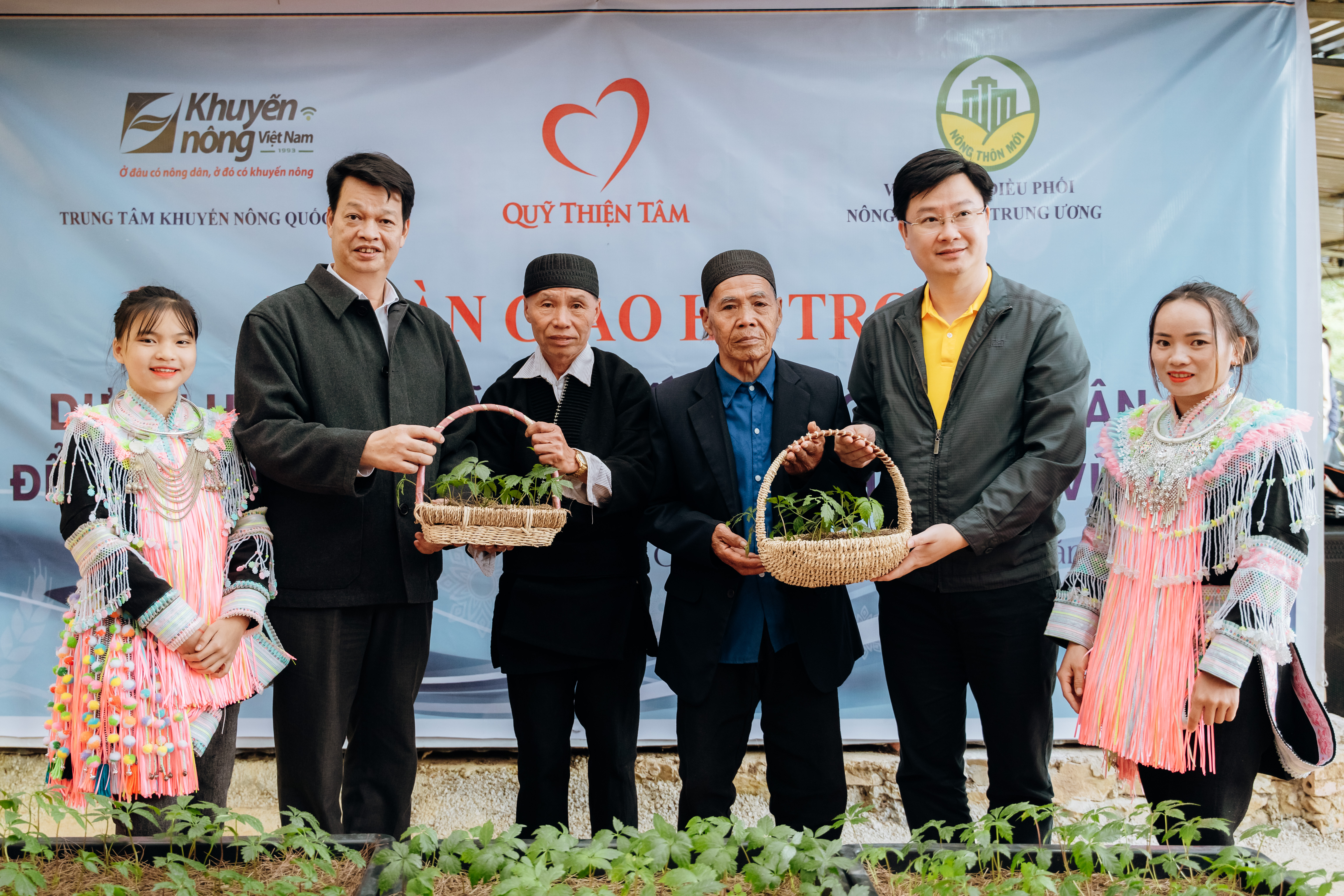 Gi&aacute;m đốc Quỹ Thiện T&acirc;m tặng c&acirc;y s&acirc;m giống cho c&aacute;c hộ ngh&egrave;o tại Lai Ch&acirc;u
