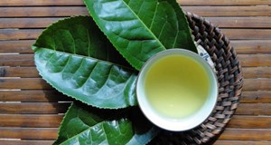 Hướng dẫn rửa mặt bằng nước chè xanh: Sáng da ngừa mụn