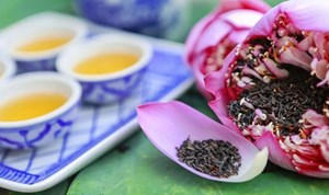 Trà sen Tây Hồ: Thức uống thượng phẩm và biểu tượng văn hóa Việt