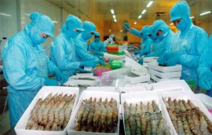 Việt Nam nằm trong top 1 trong 3 nước xuất khẩu thủy sản lớn nhất thế giới