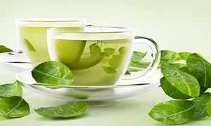 Bí mật từ những tách trà xanh: Nghiên cứu Nhật Bản hé lộ lợi ích bất ngờ cho não bộ