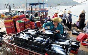 VASEP đặt mục tiêu xuất khẩu thuỷ sản năm 2024 ở mức 9,5 tỉ đô
