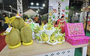Trái cây Việt Nam nào là nguồn nhập số 1 tại Trung Quốc?