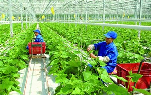 Việt Nam hướng tới nền nông nghiệp sinh thái, công nghệ cao, tích hợp đa giá trị