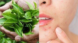 Tác dụng tuyệt vời của trà xanh trong việc chăm sóc da