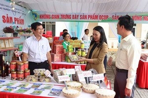 Kinh tế nông thôn từ sản xuất nhỏ lẻ đến liên kết lớn