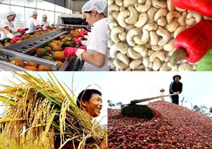  Tìm giải pháp đưa thương hiệu nông sản Việt Nam vươn xa 