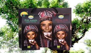 Khám phá những loại trà quý trên thế giới