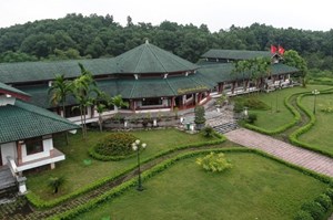 Tìm hiểu nét đẹp văn hóa trà qua không gian Tân Cương