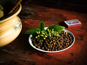 Trà hạt hoa sói: Hương vị tinh hoa làng gốm Bát Tràng