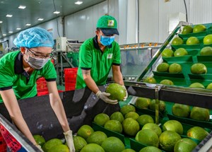 Xuất khẩu nông lâm thủy sản bứt phá đầu năm, đạt hơn 6,5 tỉ USD