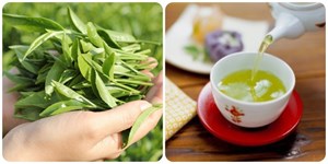 Trà tươi - Thức uống truyền thống độc đáo