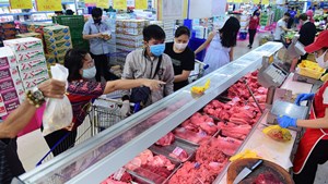 Hà Nội tăng cường đảm bảo an toàn thực phẩm Tết Bính Ngọ 2026