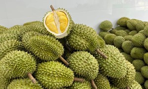 Chìa khóa để nông sản Việt mở cánh cửa thị trường cao cấp