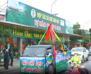 Nhiều hoạt động đặc sắc tại Lễ hội "Hương sắc trà xuân - Vùng chè đặc sản Tân Cương"