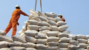 Nông sản Việt Nam năm 2025: Kỳ vọng lớn cho gạo và trái cây