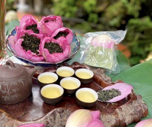 Trà sen cổ truyền: Sự hòa quyện tinh tế giữa trà vàng Shan tuyết và hoa sen Hồ Tây