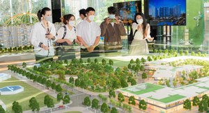 Sau Tết Nguyên đán Ất Tỵ 2025 giá nhà đất có nhiều biến động