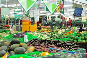  Nâng tầm nông sản Việt: Chinh phục thị trường quốc tế bằng thương hiệu và chất lượng